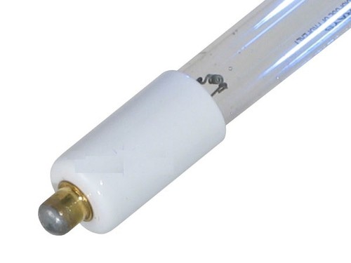 Replacement lamp atlantic - replacement, lamp: